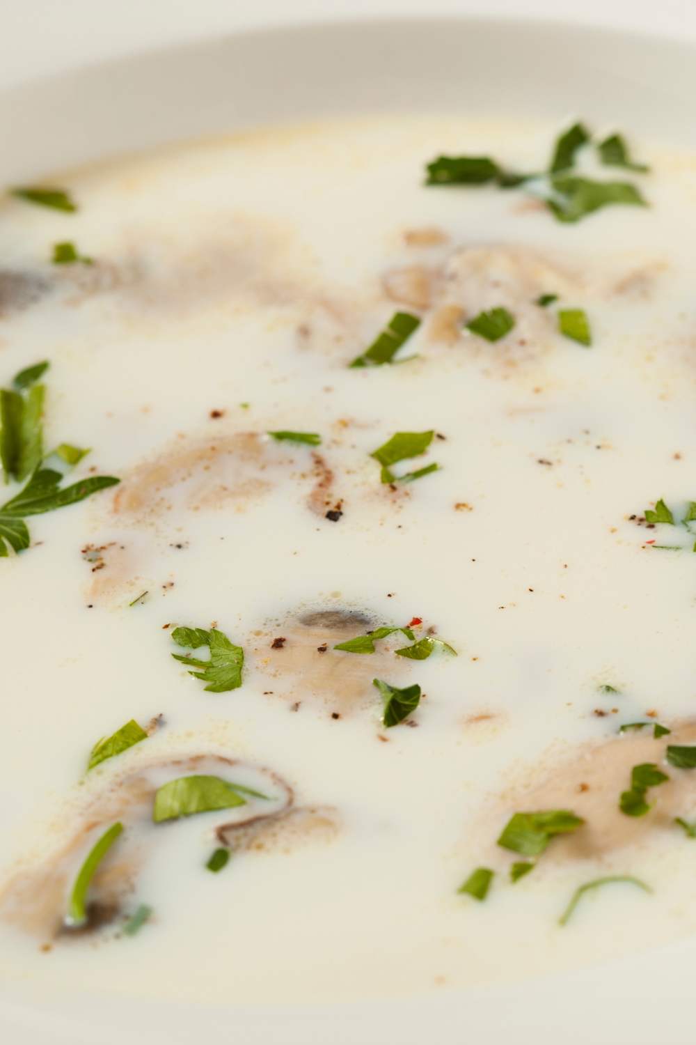 Barefoot Contessa Oyster Stew - Ina Garten Eats